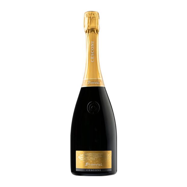 Cesconi Trento Extra Brut DOC Blauwal BIO