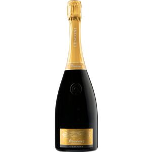Cesconi Trento Extra Brut DOC Blauwal BIO