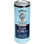 Bombay Sapphire Gin&amp;Tonic