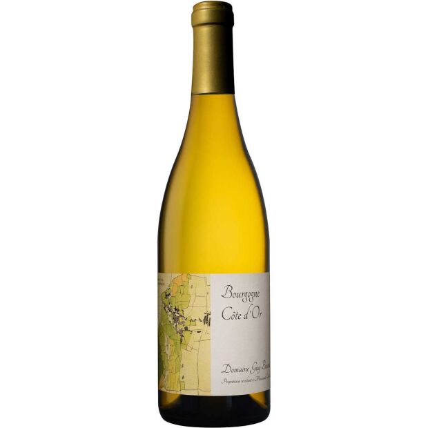 Guy Bocard Bourgogne Cote dOr Chardonnay AOC BIO