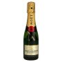 Moet &amp; Chandon Champagner