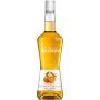 Monin Orange Curacao Lik&ouml;r