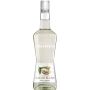 Monin Liquore al Cacao Bianco