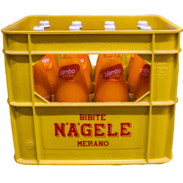 Nägele 12x1l Orange-Karotte Jambo Mehrweg