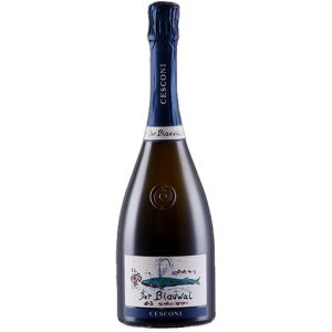 Cesconi Trento Extra Brut Riserva DOC Blauwal BIO