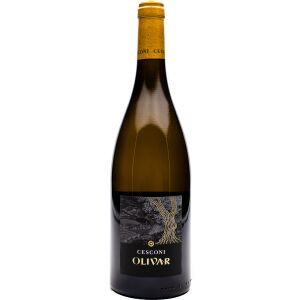 Cesconi Weinberg Dolomiten IGT Olivar BIO