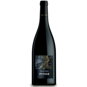 Cesconi Weinberg Dolomiten Merlot IGT Pivier BIO